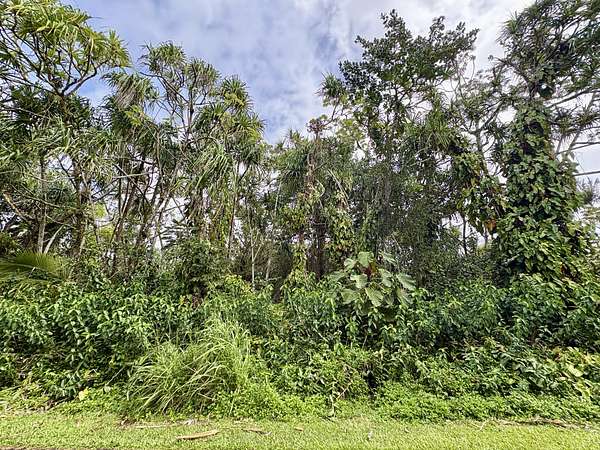 0.28 Acres of Residential Land for Sale in Pahoa, Hawaii