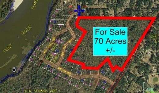 70 Acres of Land for Sale in Bainbridge, Georgia