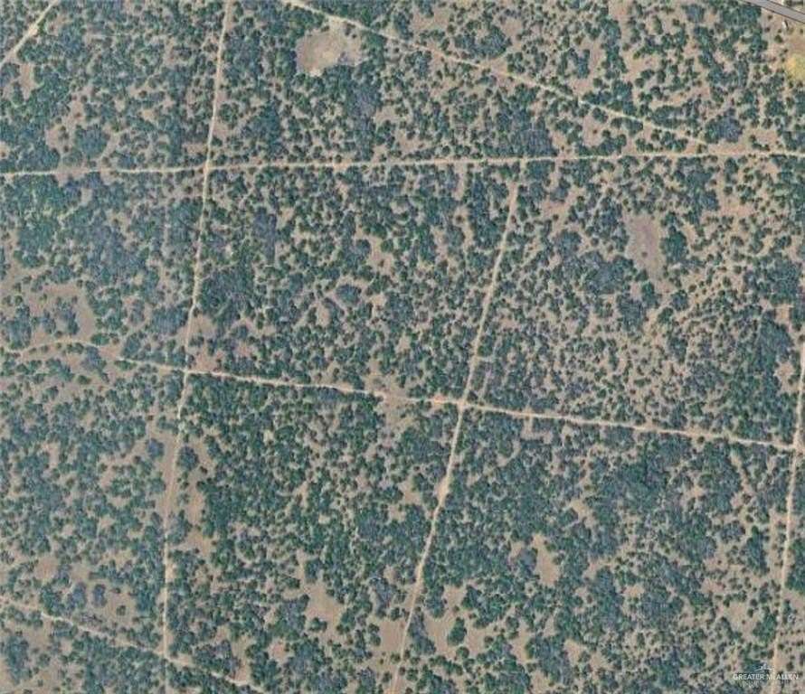 200 Acres of Land for Sale in Raymondville, Texas