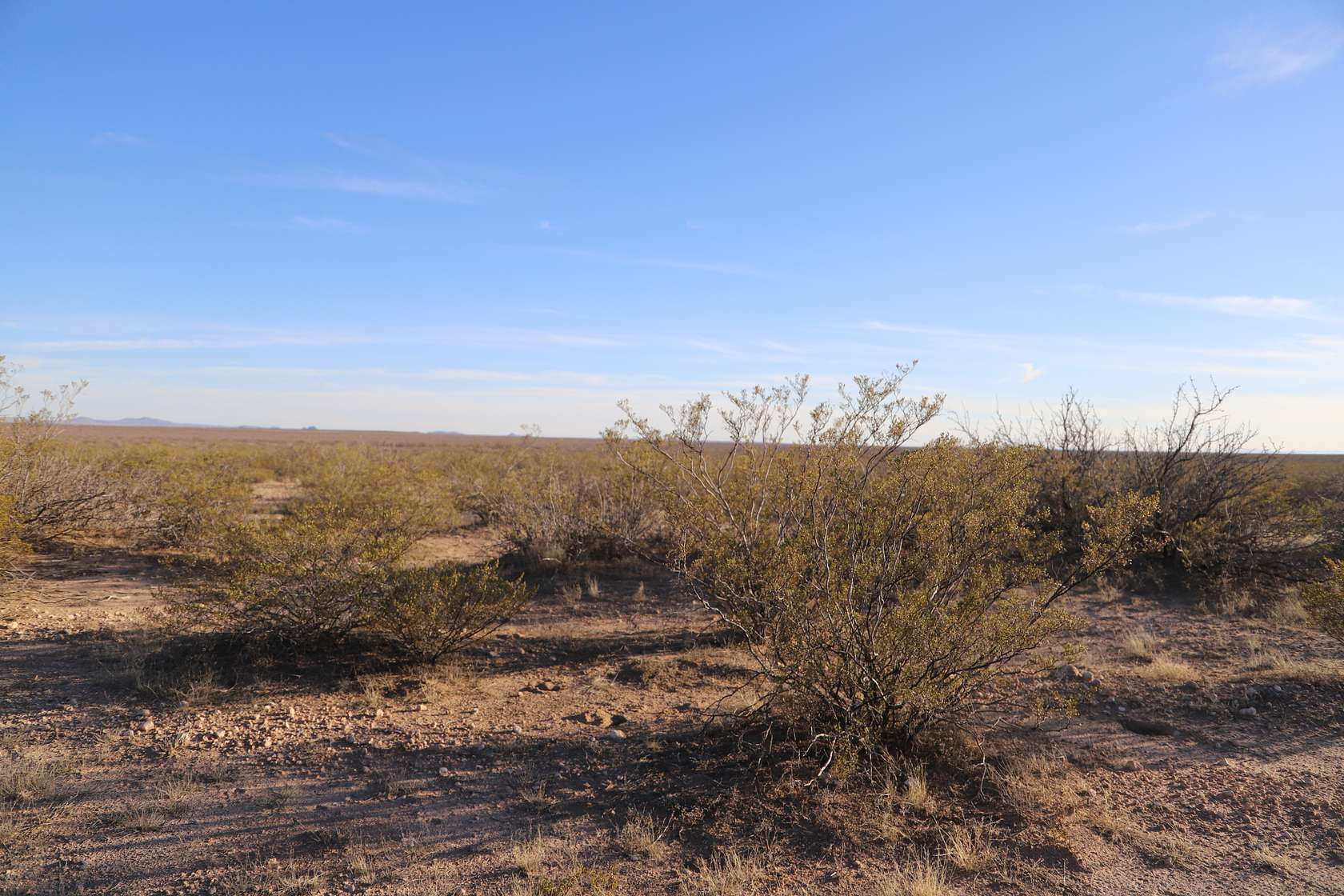 1 Acre of Residential Land for Sale in Deming, New Mexico