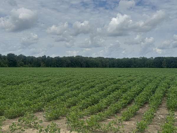 97.2 Acres of Land for Sale in Coldwater, Michigan