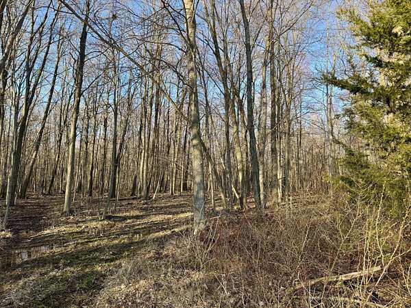 45 Acres of Land for Sale in Coldwater, Michigan