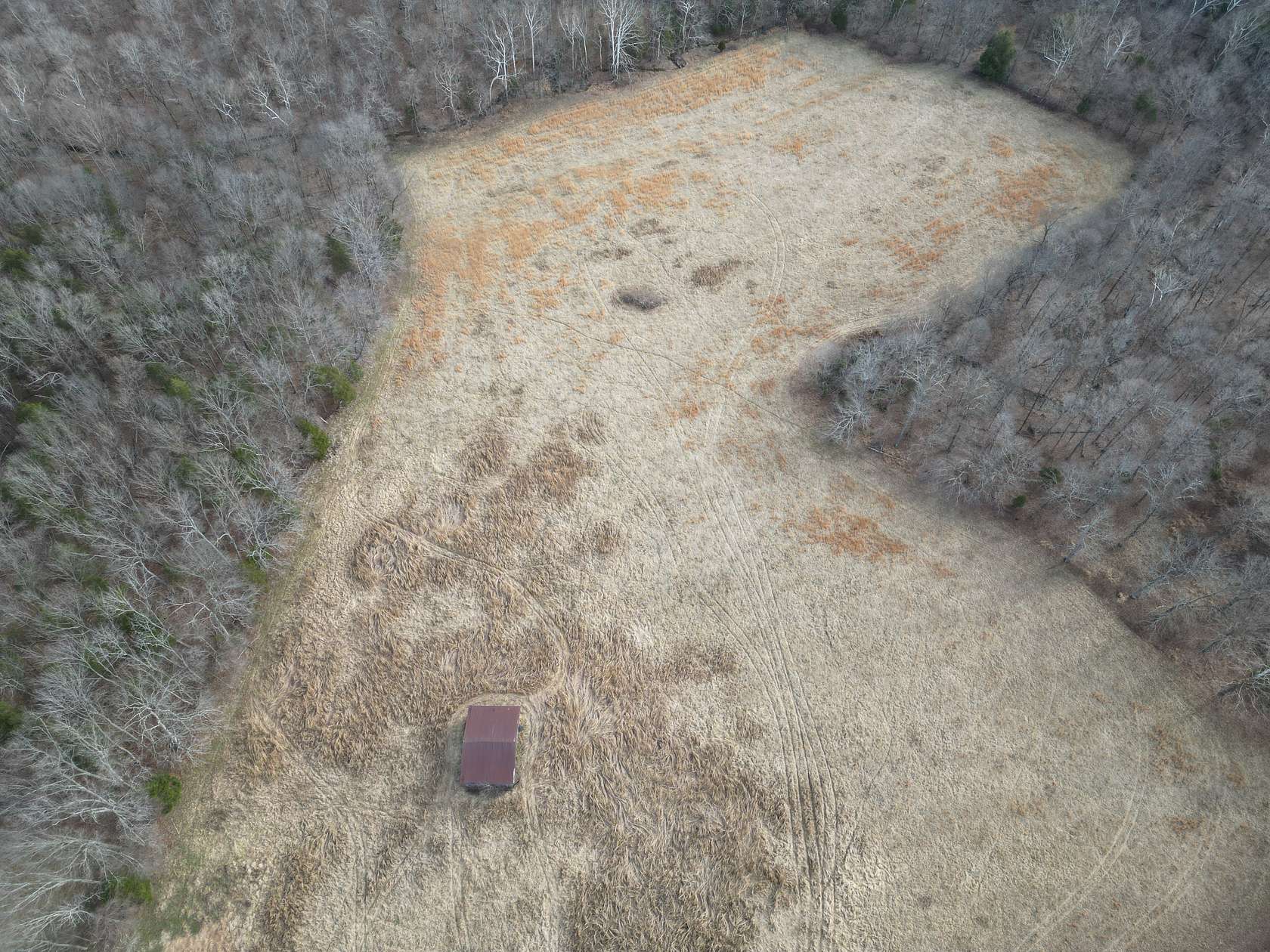 242 Acres of Land for Sale in Caneyville, Kentucky