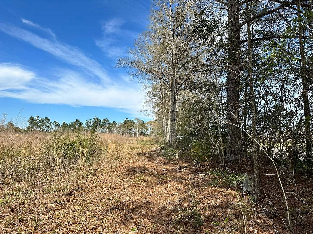 13 Acres of Recreational & Residential Land for Sale in Poplarville, Mississippi