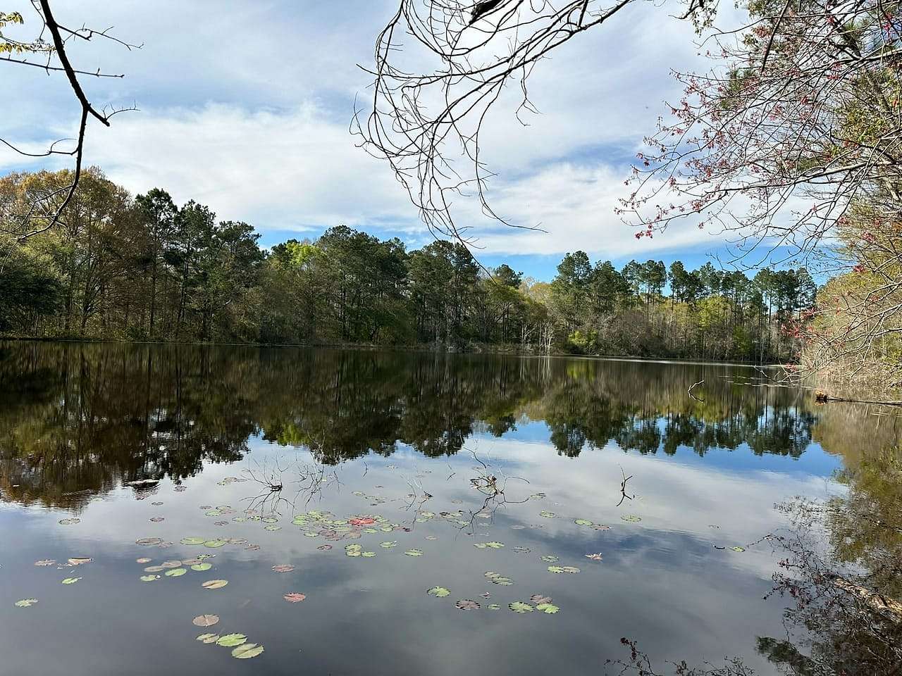 17 Acres of Land for Sale in Poplarville, Mississippi