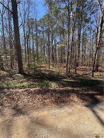 0.43 Acres of Residential Land for Sale in Vance, Alabama