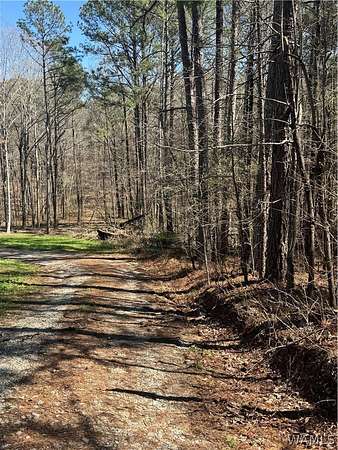 0.47 Acres of Residential Land for Sale in McCalla, Alabama