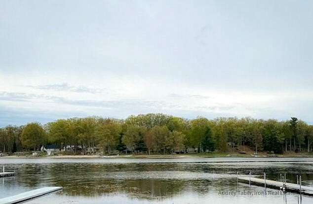 0.58 Acres of Residential Land for Sale in Baldwin, Michigan