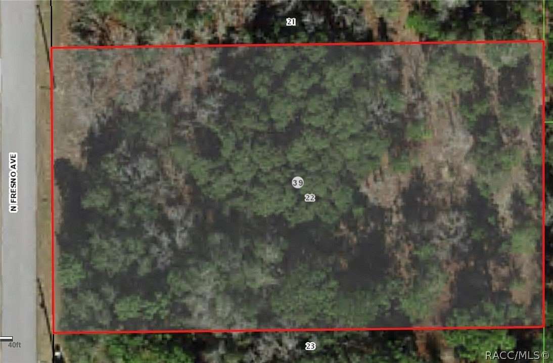 1 Acre of Residential Land for Sale in Hernando, Florida