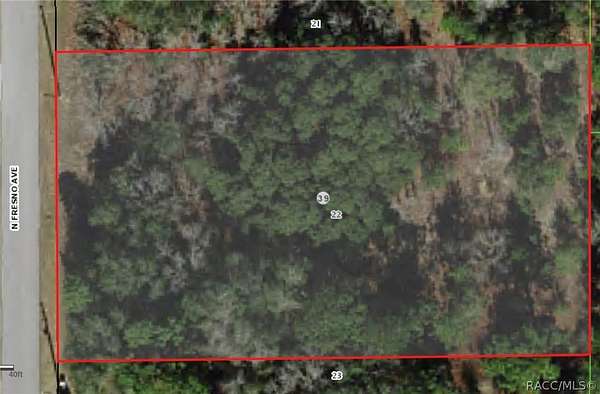 1 Acre of Residential Land for Sale in Hernando, Florida