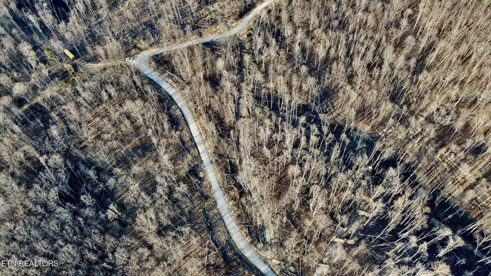 11.2 Acres of Land for Sale in Sunbright, Tennessee