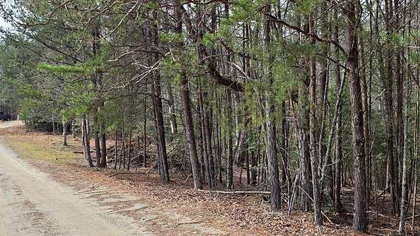 1 Acre of Land for Sale in Warne, North Carolina
