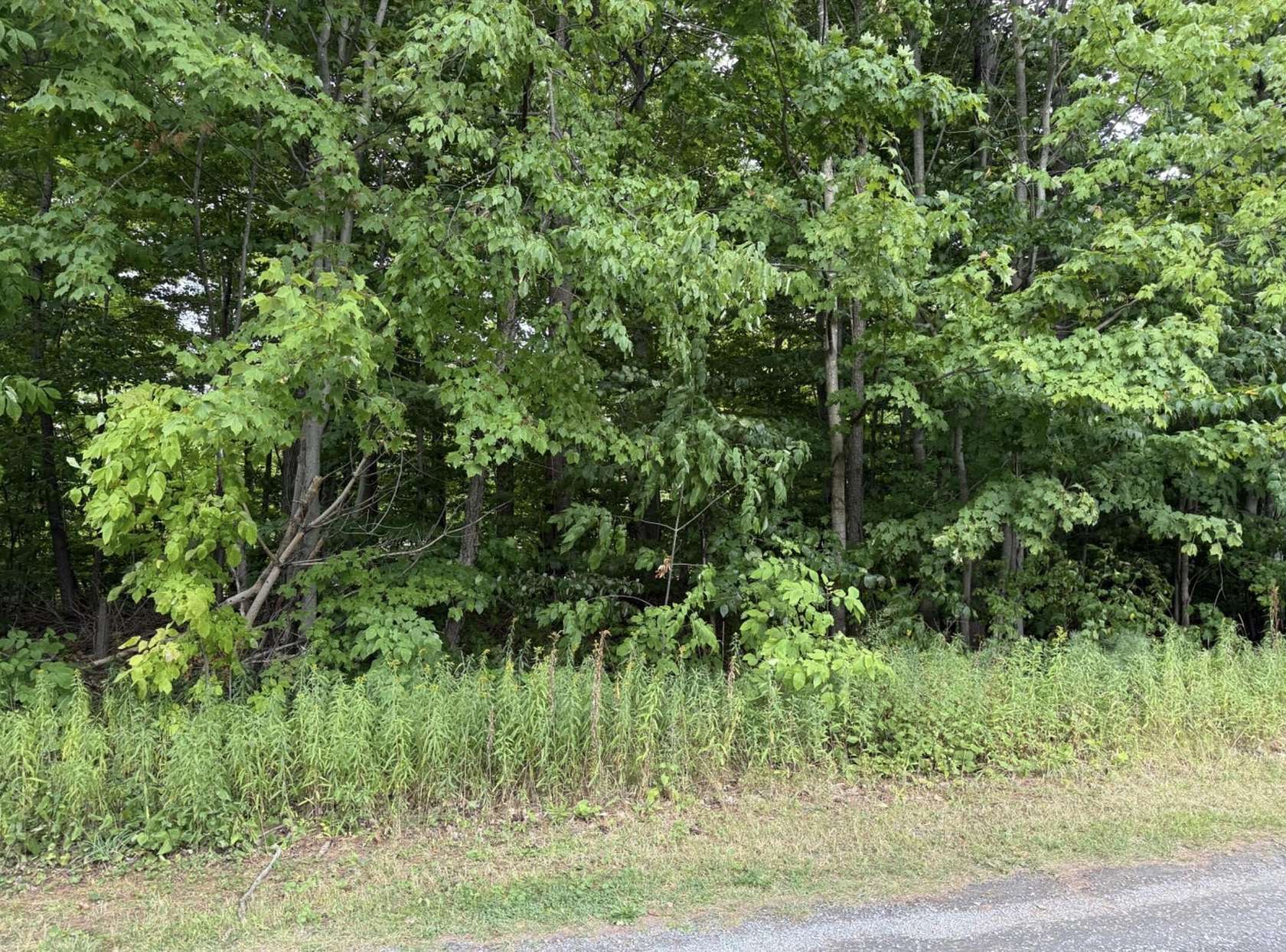 0.22 Acres of Land for Sale in Altona, New York