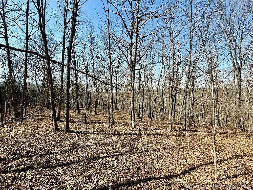 9 Acres of Residential Land for Sale in Versailles, Missouri