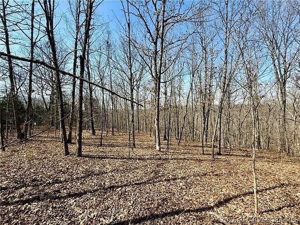 9 Acres of Residential Land for Sale in Versailles, Missouri