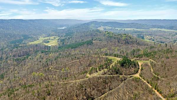 160 Acres of Land for Sale in Gallant, Alabama