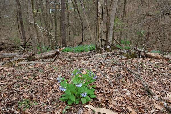 0.82 Acres of Residential Land for Sale in Johnson City, Tennessee