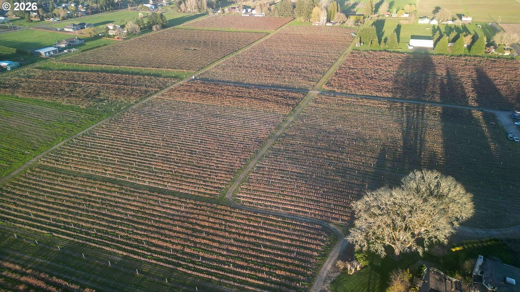 69.7 Acres of Agricultural Land for Sale in Forest Grove, Oregon