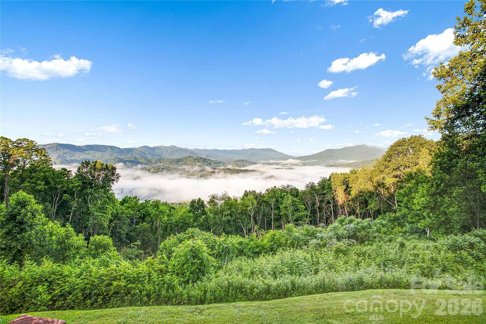 2.66 Acres of Land with Home for Sale in Clyde, North Carolina