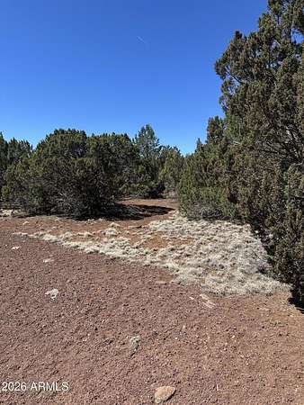 1.14 Acres of Residential Land for Sale in Vernon, Arizona