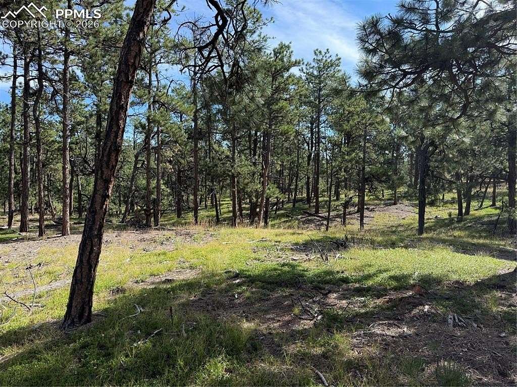 5 Acres of Land for Sale in Colorado Springs, Colorado
