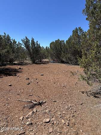 1.14 Acres of Residential Land for Sale in Vernon, Arizona