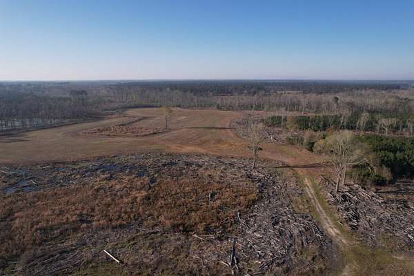 78.4 Acres of Land for Sale in Lake City, South Carolina