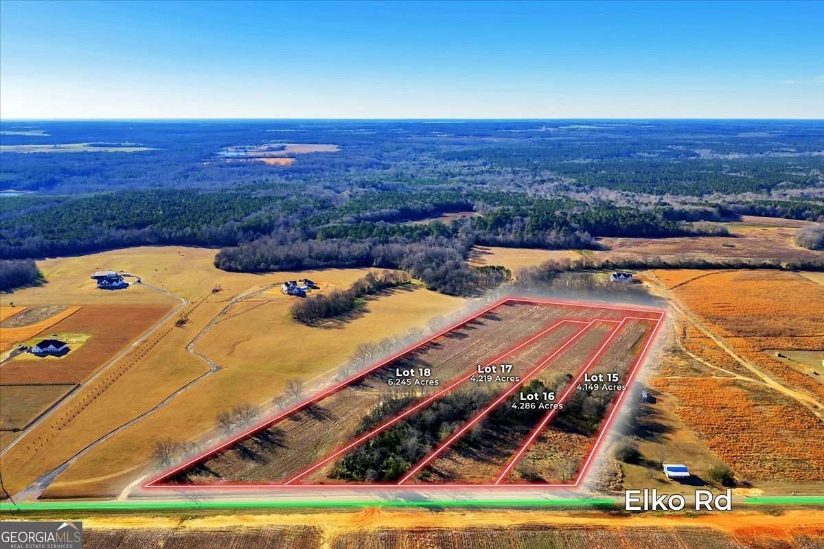 4.2 Acres of Residential Land for Sale in Elko, Georgia