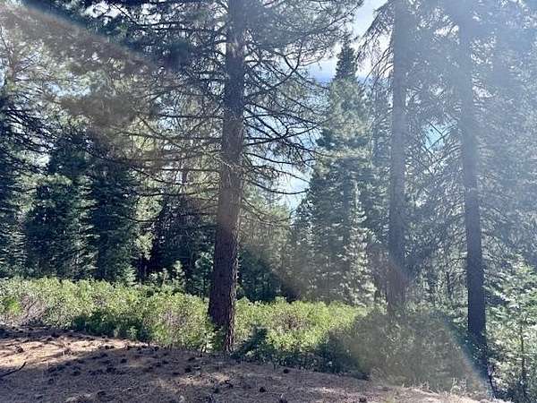 0.97 Acres of Residential Land for Sale in Lake Almanor Peninsula, California