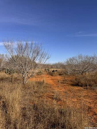 18 Acres of Recreational & Residential Land for Sale in Dilley, Texas