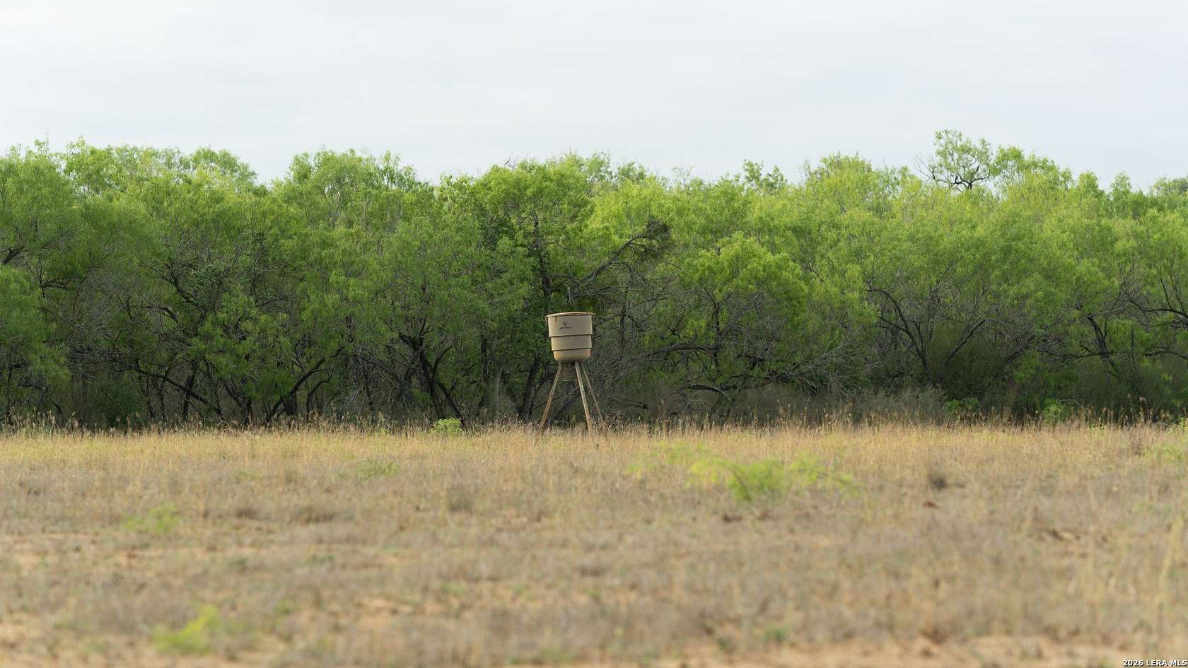 12.8 Acres of Land for Sale in Pleasanton, Texas