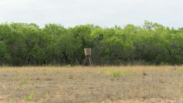 12.8 Acres of Land for Sale in Pleasanton, Texas