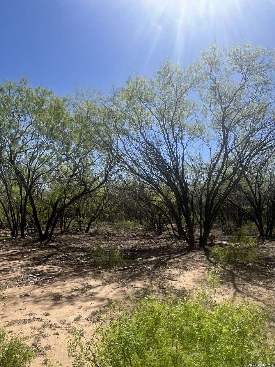 10 Acres of Recreational & Residential Land for Sale in Pleasanton, Texas