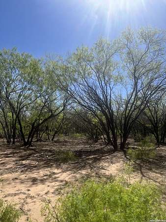 10 Acres of Recreational & Residential Land for Sale in Pleasanton, Texas
