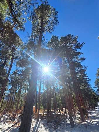 1.5 Acres of Residential Land for Sale in Rye, Colorado