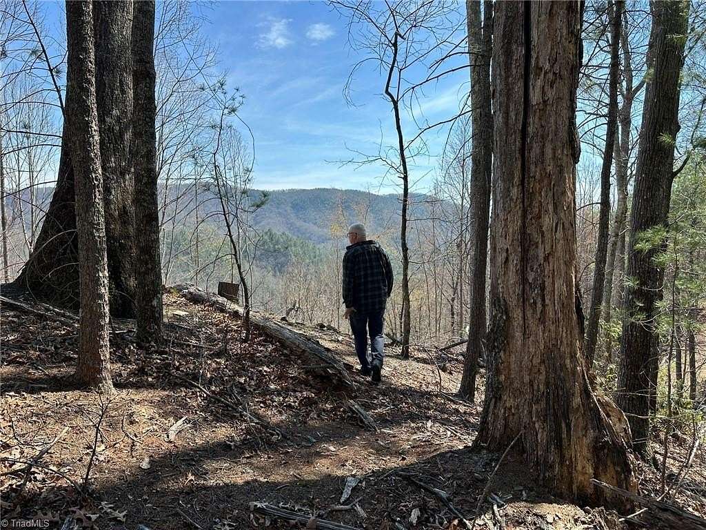 54 Acres of Recreational & Residential Land for Sale in Lenoir, North Carolina