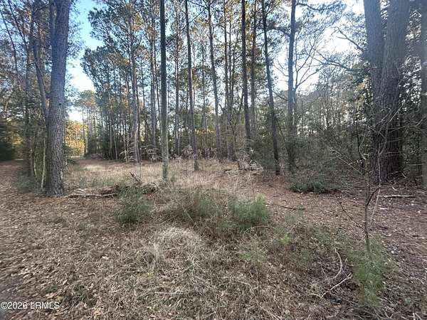 1 Acre of Residential Land for Sale in Saint Helena Island, South Carolina