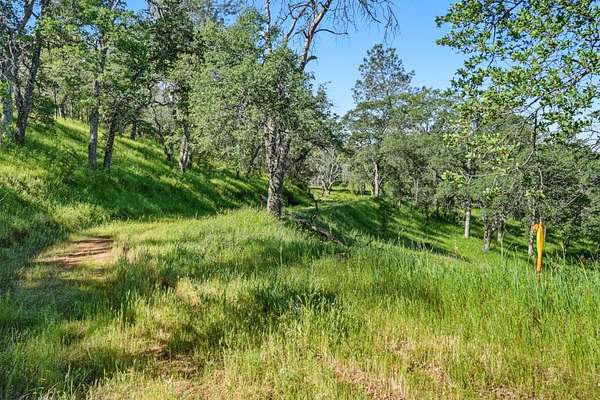 38.8 Acres of Land for Sale in Coarsegold, California