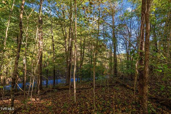 59 Acres of Recreational & Residential Land for Sale in Rogersville, Tennessee