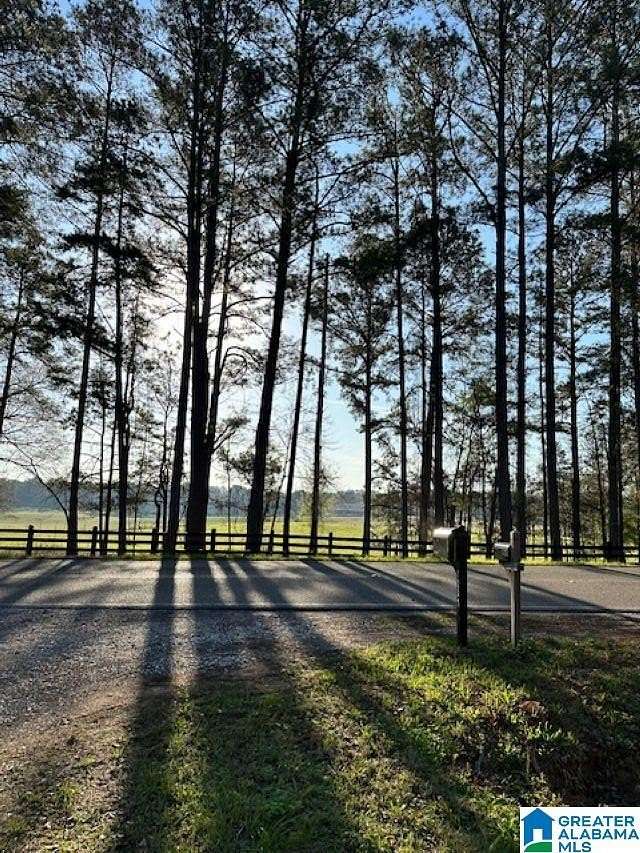 20 Acres of Recreational & Residential Land for Sale in Vincent, Alabama