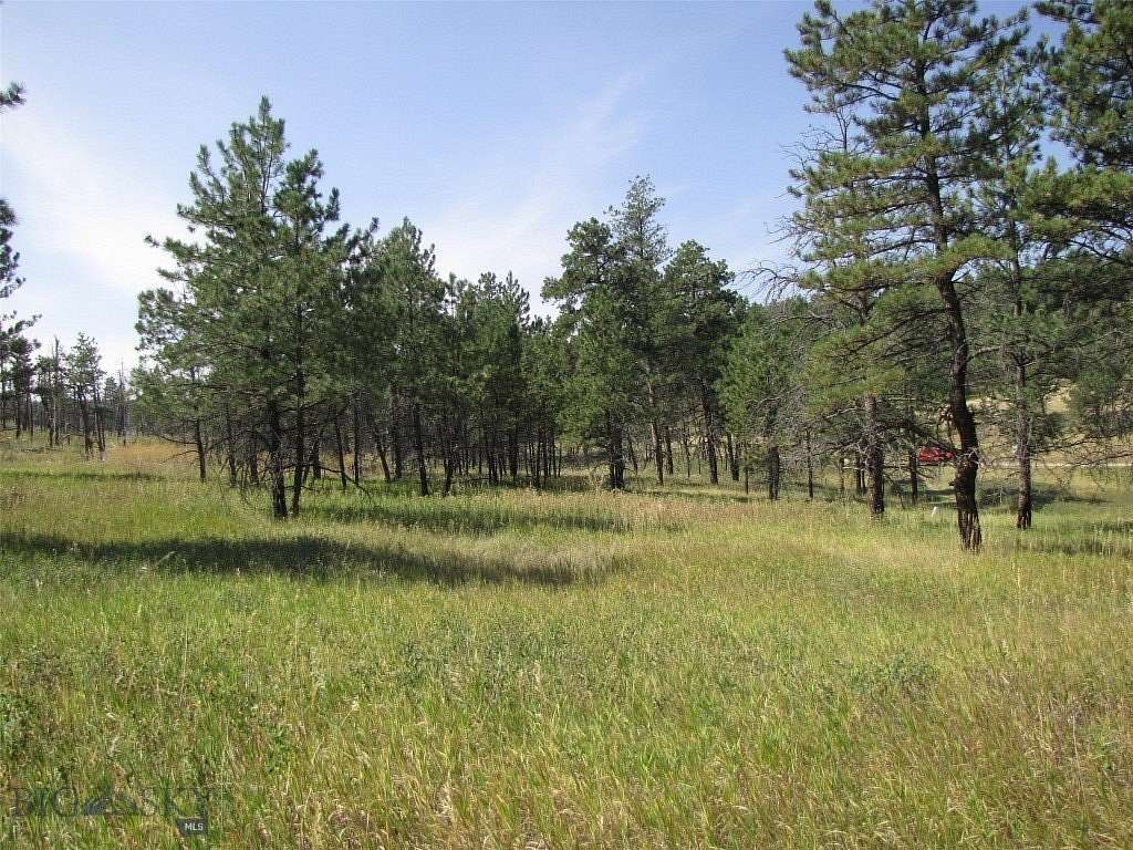 40.2 Acres of Recreational Land for Sale in Roundup, Montana