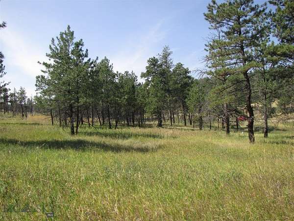 40.2 Acres of Recreational Land for Sale in Roundup, Montana