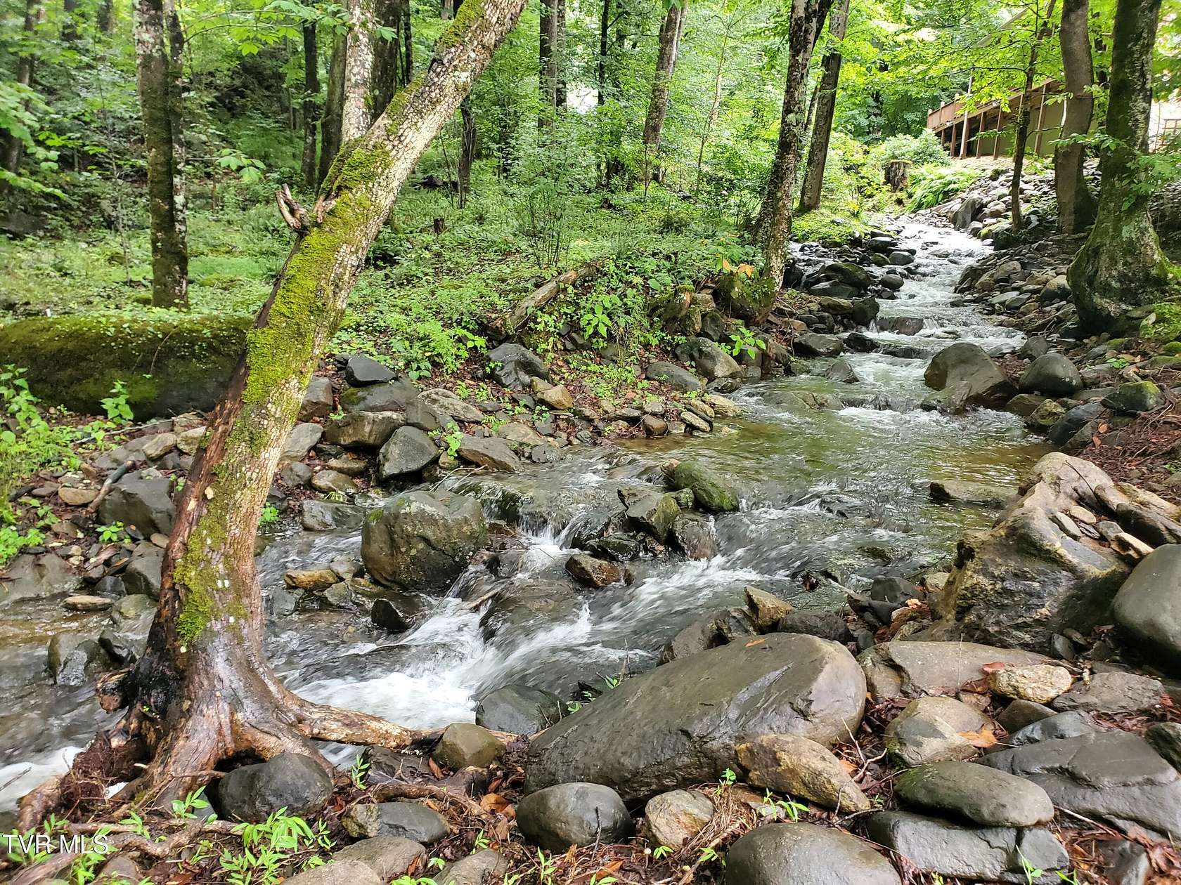 0.62 Acres of Residential Land for Sale in Roan Mountain, Tennessee