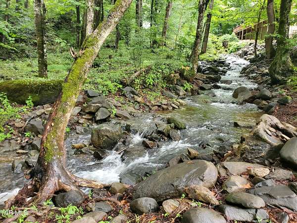 0.62 Acres of Residential Land for Sale in Roan Mountain, Tennessee