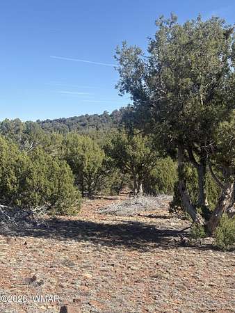 10 Acres of Residential Land for Sale in Concho, Arizona