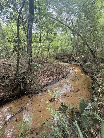 25.4 Acres of Recreational & Residential Land for Sale in Chattahoochee, Florida