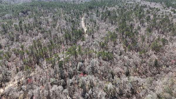 78 Acres of Recreational & Residential Land for Sale in Panola, Alabama