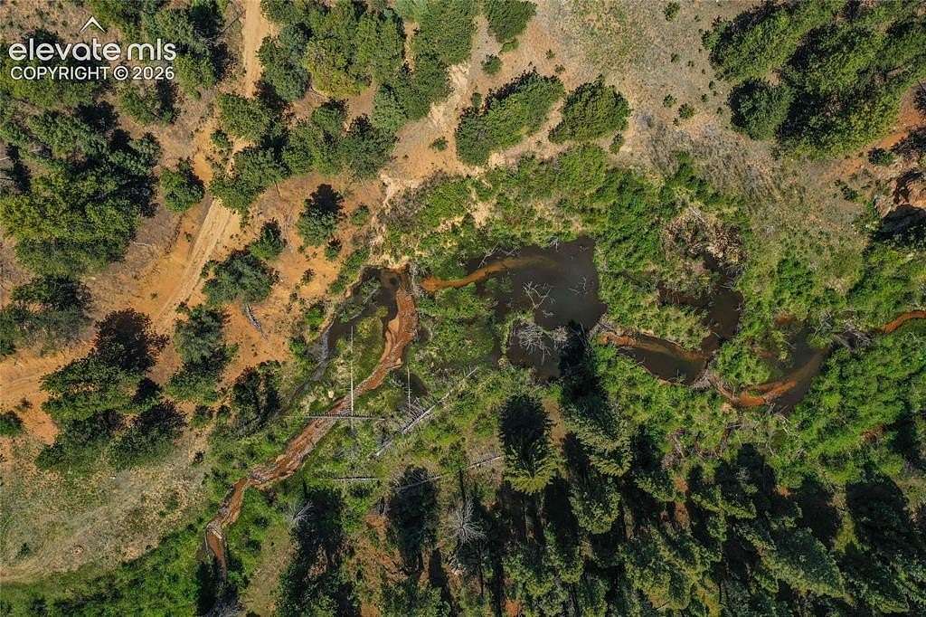 51.5 Acres of Recreational Land for Sale in Woodland Park, Colorado