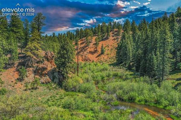 51.5 Acres of Recreational Land for Sale in Woodland Park, Colorado