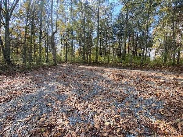4.74 Acres of Land for Sale in Brooksville, Kentucky